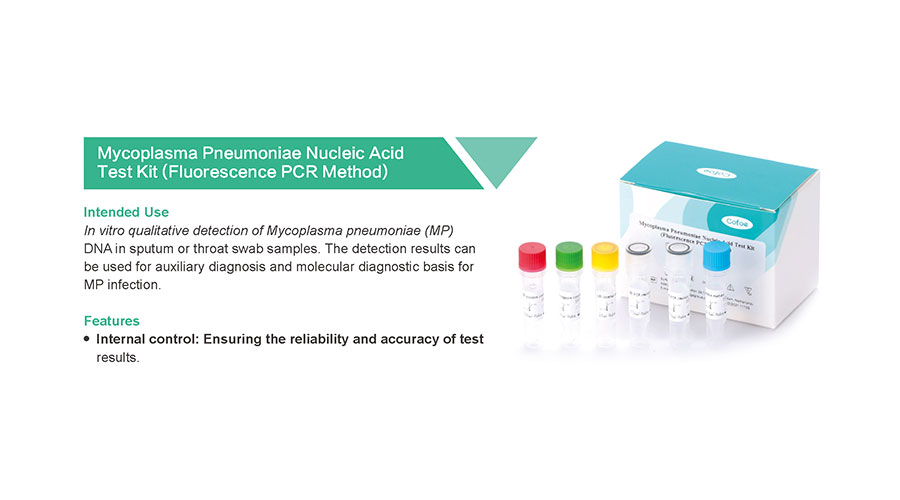 Mycoplasma pneumoniae 肺炎 支原体